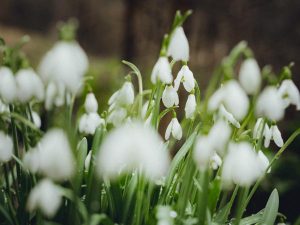 Aktuelle Kurse: die Frische des Augenblicks erfahren